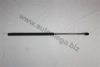 AUTOMEGA 3111800405 Gas Spring, bonnet